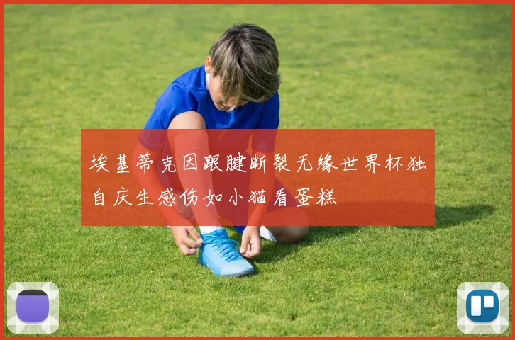 埃基蒂克因跟腱断裂无缘世界杯独自庆生感伤如小猫看蛋糕
