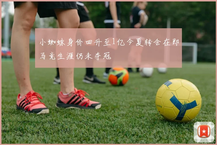 小蜘蛛身价回升至1亿今夏转会在即马竞生涯仍未夺冠